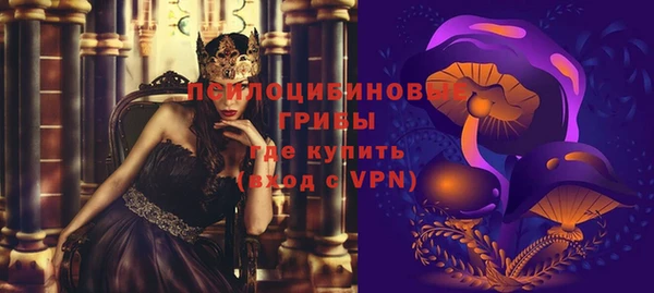 ПСИЛОЦИБИНОВЫЕ ГРИБЫ Красноперекопск